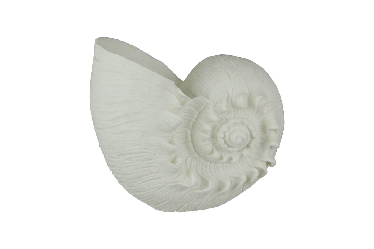White Sandstone Finish Frilled Nautilus Shell Accent Lamp 10 Inches High